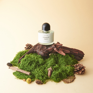 沉木造景拍摄小摆件摄影小道具摆件拍照装饰枯树枝木头森林系陈列