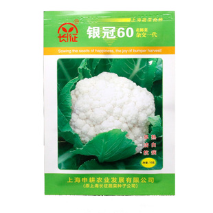 上海长征银冠60天早中熟白花椰菜种子花菜种杂交紧花菜籽
