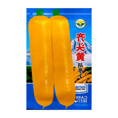齐头黄胡萝卜黄色胡萝卜