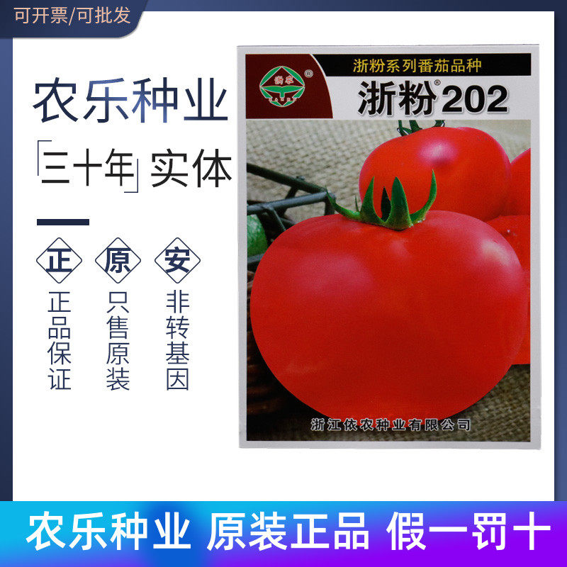 浙农 浙粉202番茄种子种籽 杂交西红柿种子 早熟 包邮