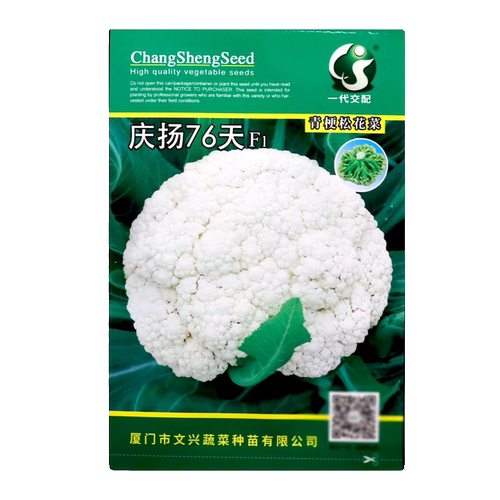 庆扬76天青梗松花菜种子