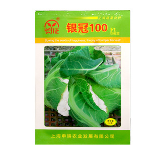 上海长征银冠100天白花椰菜种子紧花菜籽杂交晚熟花菜籽