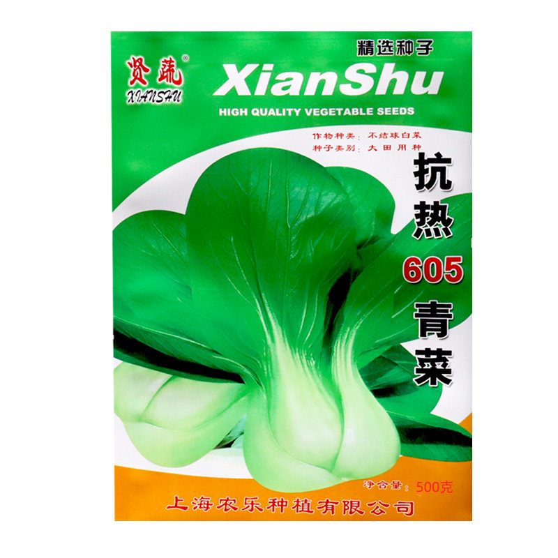 抗热鸡毛菜种籽抗热605青菜籽