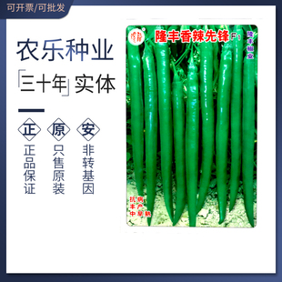 隆丰香辣先锋F1辣椒种子特辣杂交线椒种籽大果中早熟高产