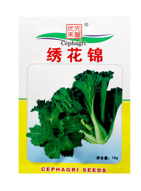 嘉兴香青菜种子火锅菜籽