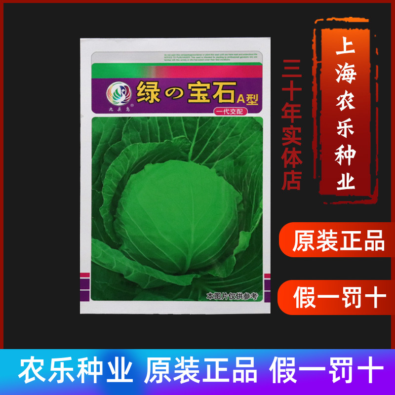 九头鸟绿宝石a型甘蓝种子杂交圆球甘蓝籽早熟60天耐高温