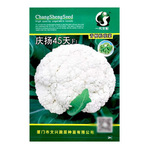 庆扬45天青梗松花菜种子