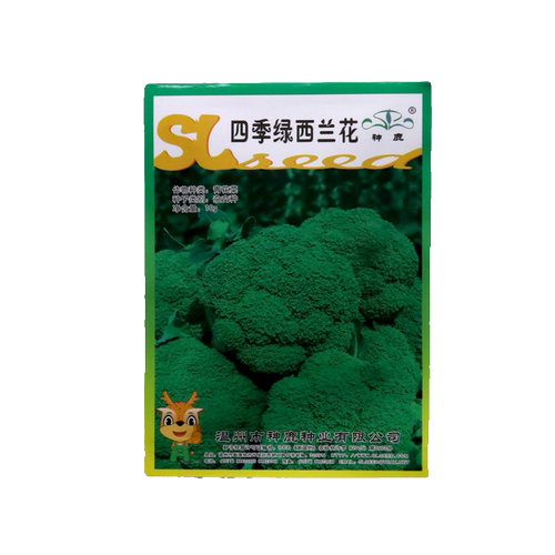 神鹿四季绿西兰花种籽