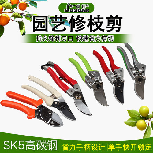SK5合金钢 修枝剪刀果枝剪园林艺农工具摘果剪刀剪子园丁剪