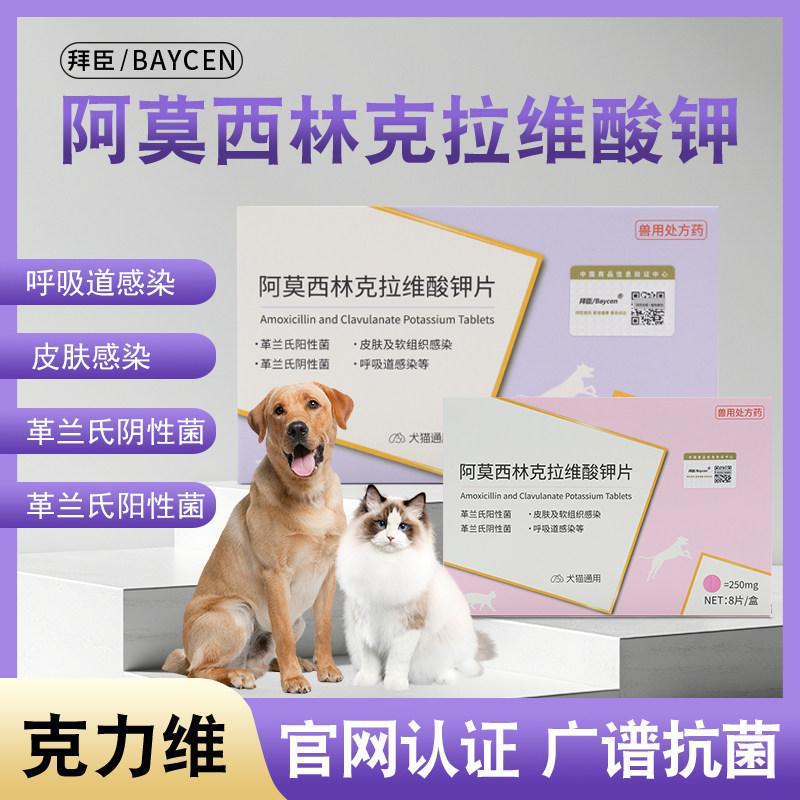 拜臣克力维阿莫西林克拉维酸钾