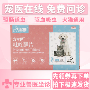 宠常保 宠物体内驱虫药猫咪狗狗绦虫囊虫血吸虫蠕虫病打虫药 4粒