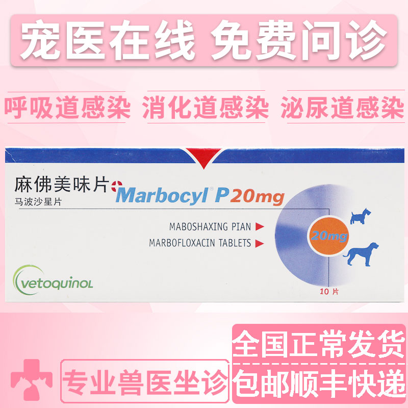 现货麻佛美味20mg宠物狗感冒拉稀