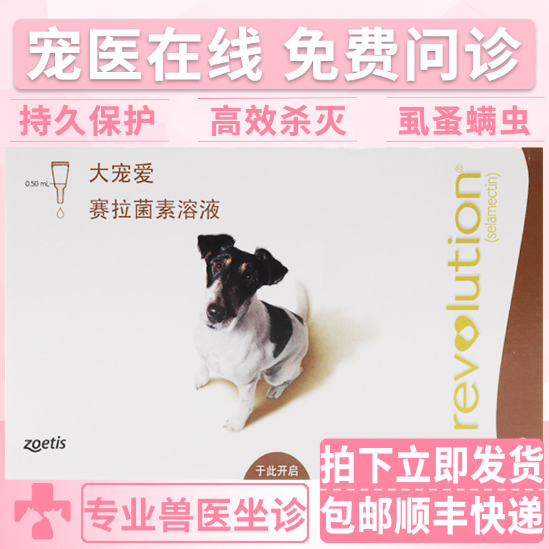 正品大宠爱犬驱虫药60mg宠物狗狗除螨虱跳蚤体外杀虫药滴剂 3支装