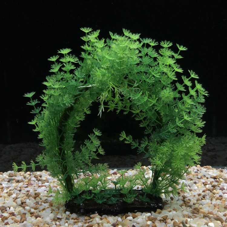 包邮鱼缸装饰水族造景仿真水草植物布景圆拱大洞口小鱼穿梭游玩,宠物/宠物食品及用品,造景/装饰,淘宝优惠券,粉丝福利购,淘宝优惠卷