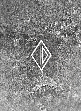 IRREGULARS DEFENSE 铭文贴纸