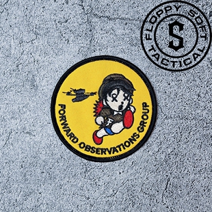 Forward observations group 