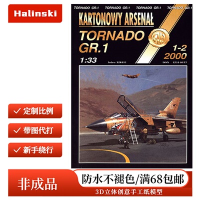 Halinski KA 2000-01-02 - Tornado GR.1
