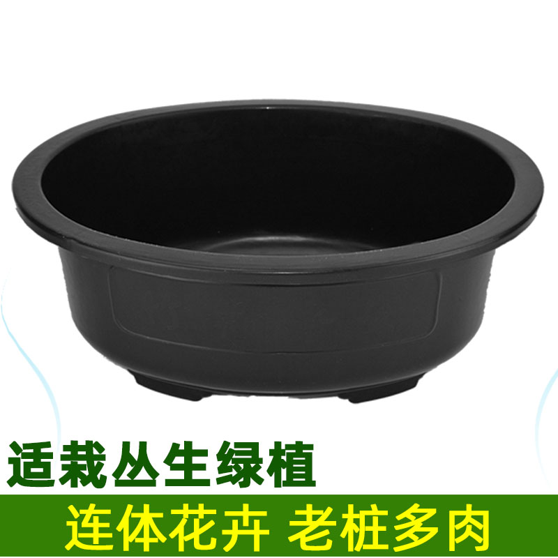 八个椭圆型盆景花盆塑料高款矮款榕树澳洲彬老桩盆黄杨卷柏种菜盆