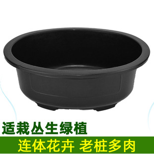 八个椭圆型盆景花盆塑料高款矮款榕树澳洲彬老桩盆黄杨卷柏种菜盆