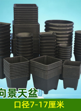 多个万象景天盆塑料育苗花盆圆方型加厚黑色迷你小多肉仙人球盆栽