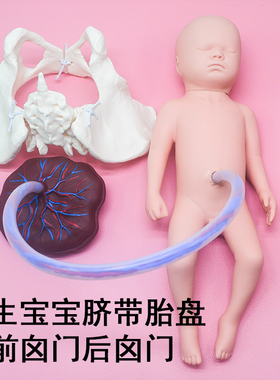 妇产医院初生儿宝宝模型含脐带胎盘 模拟分娩示教动态骨盆模型