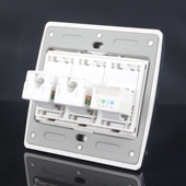 86型2个CAT6电脑带CAT3免打电话插座面板 千兆六类网络口语音插座