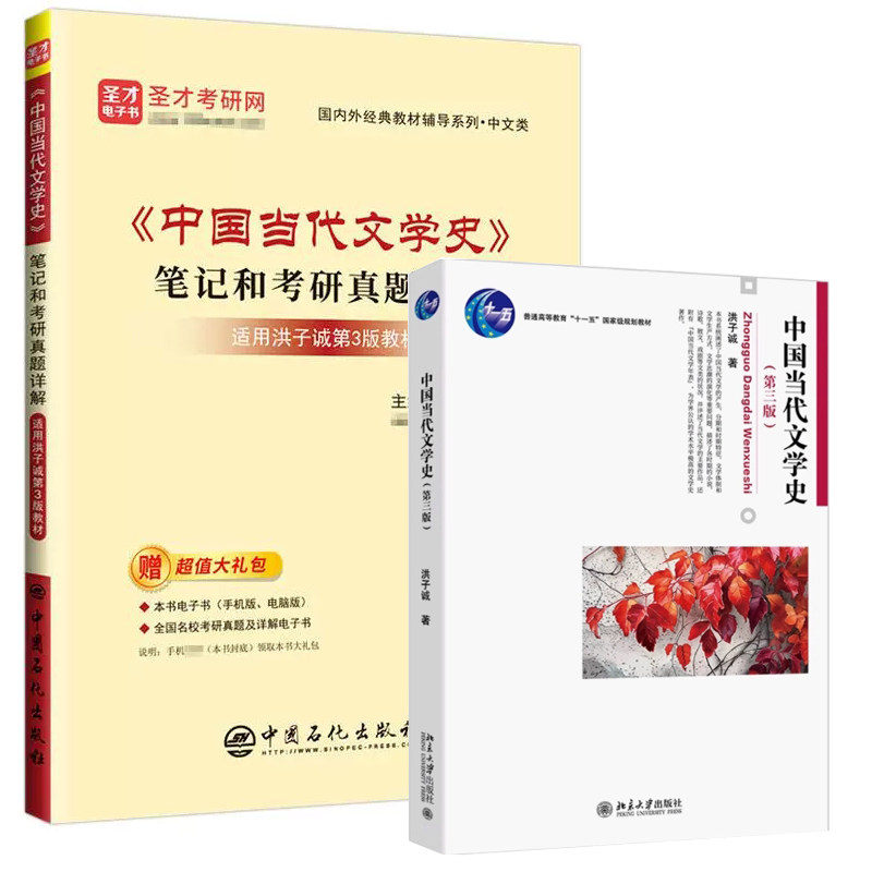 洪子诚中国当代文学史图片