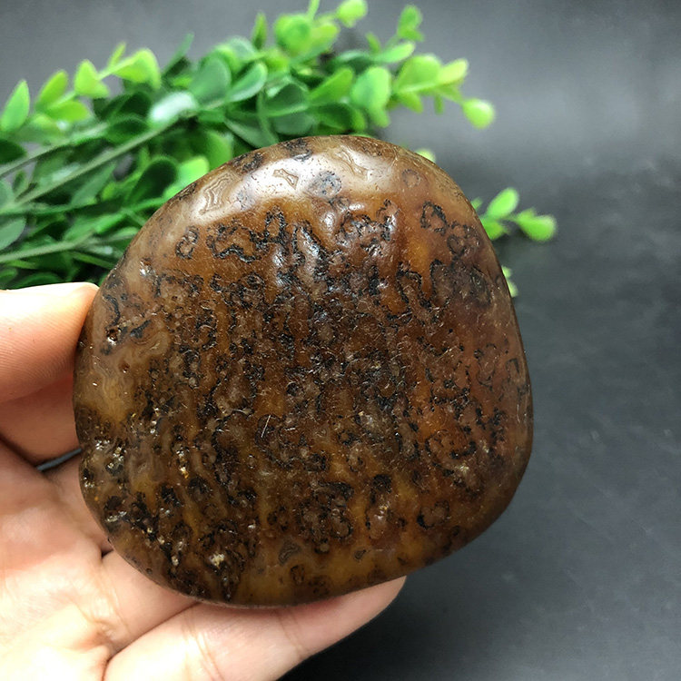 马达加斯加玛瑙花纹籽料天然象形马料原石收藏石头手把件2422