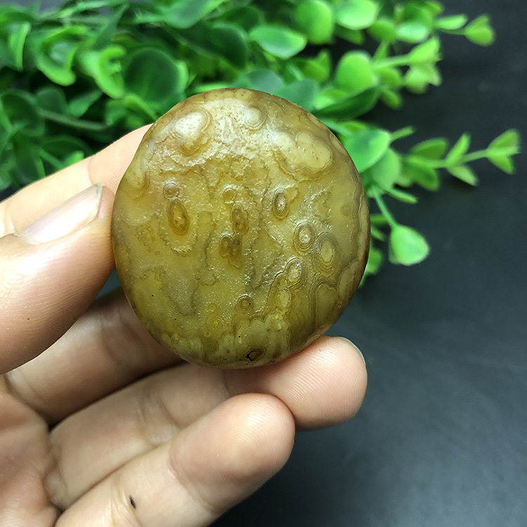 花纹马达加斯加籽料冰彩玛瑙象形原石石头手把件收藏天然马料1582