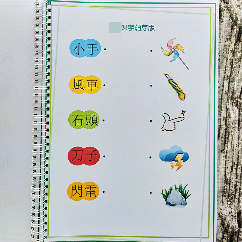 识字书2-3-41岁萌芽配套版本