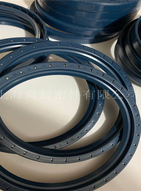 CFW油封BAU6 DIN7360 A 蓝色橡胶 德国原装保证 大量库存 现货