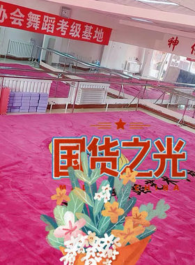 加厚武术地毯舞蹈室体操跆拳道运