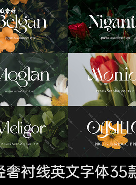 英文字体高级感轻奢衬线风格 fcpx pr procreate字库ps字体包下载