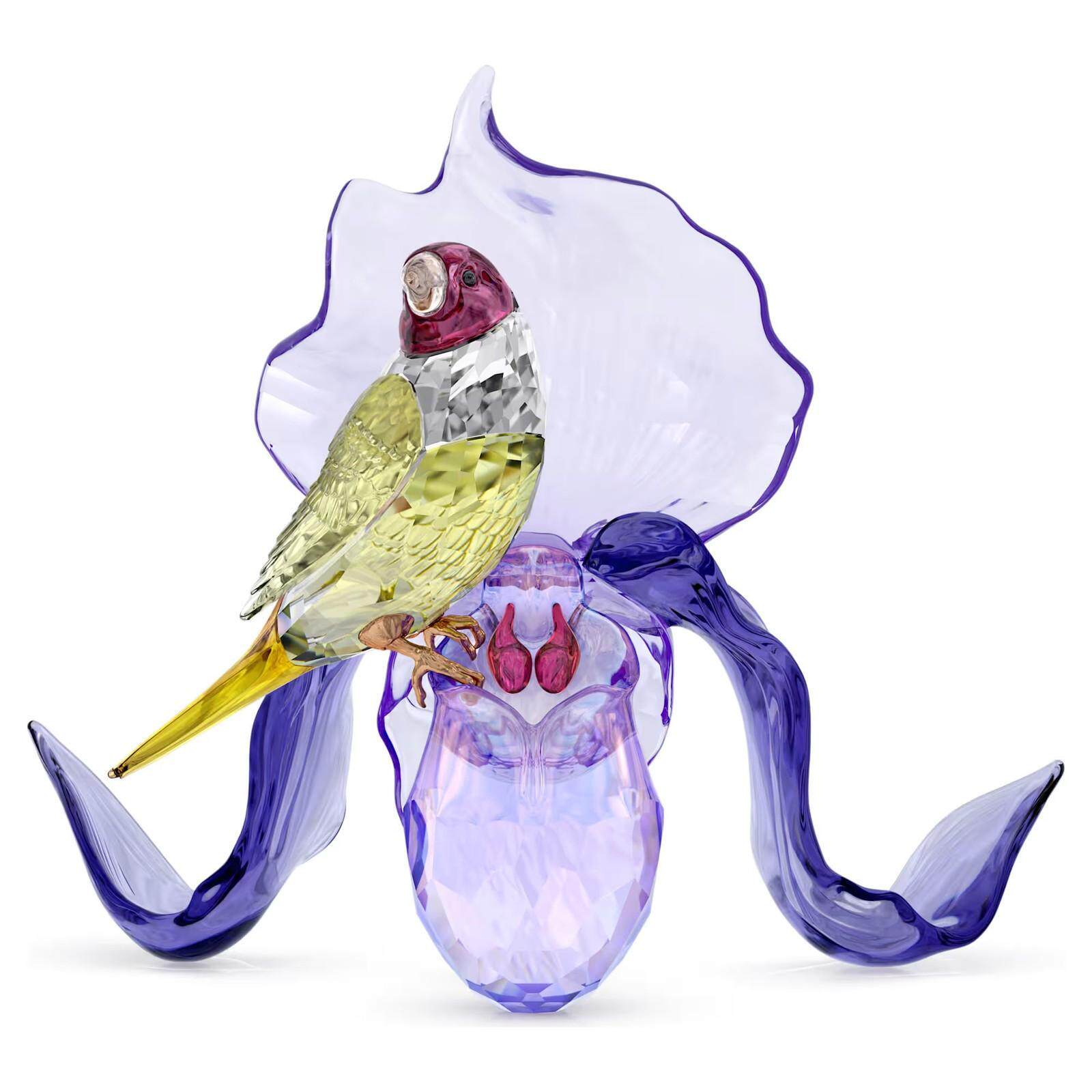 SWAROVSKI施华洛世奇Idyllia Gouldian Finch兰花摆件装饰紫色