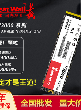 长城固态硬盘M2高速NVME接口256G512G1TB台式机笔记本pcie正品SSD