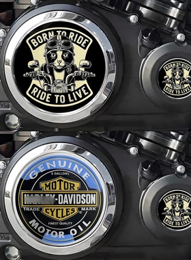 复古骷髅头适用豪爵TR300金吉拉灰石300摩托车发动机盖金属装饰贴