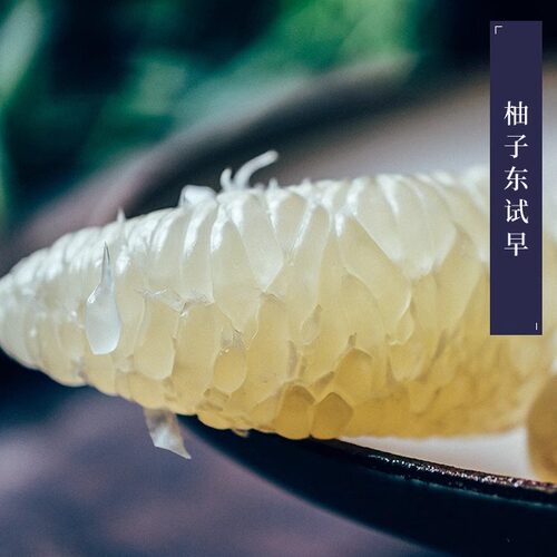 超好吃浓郁柚子味东试早版纳青柚