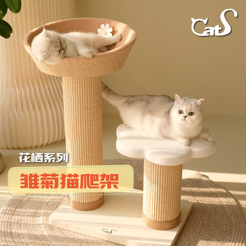 CatS猫家具 雏菊花栖爬架 超耐抓剑麻实木猫抓板大小体型猫通用