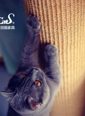 配件：CatS猫爬架替换剑麻柱/桶 仅供老客购买（此链接仅替换柱）