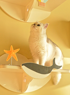 CatS猫上墙想去旅行系列 彩色实木童趣上墙猫跳台猫爬架猫玩具