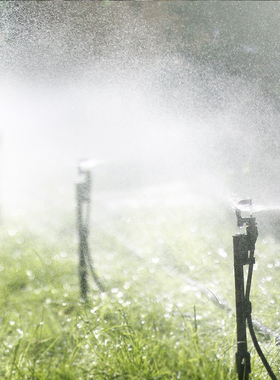 半自动83103大雾化喷头套装喷淋设备微喷茶园园林绿化带植物浇灌