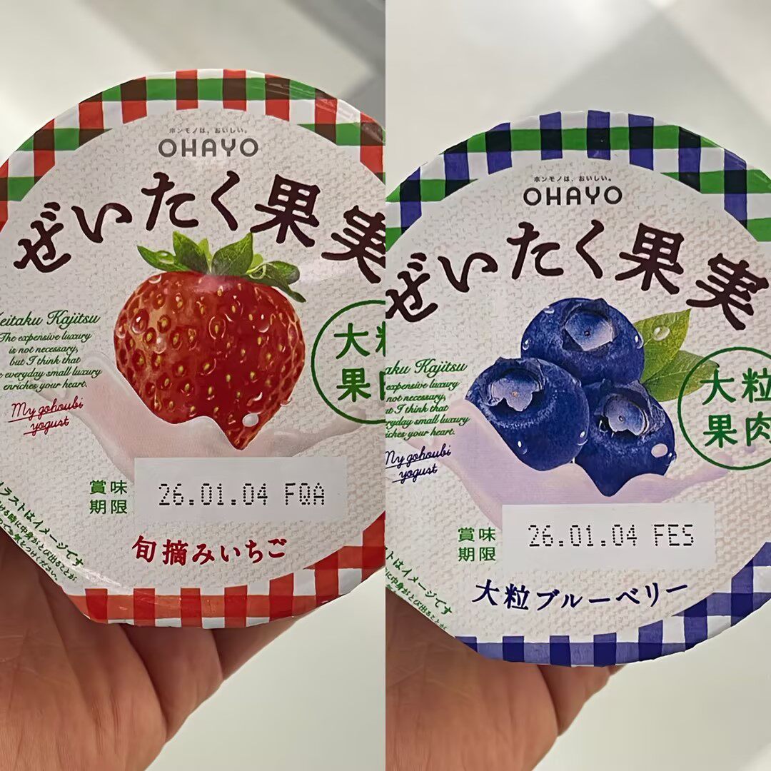 代购 日本进口 OHAYO大颗果实蓝莓酸奶/乳酪125克＊2杯