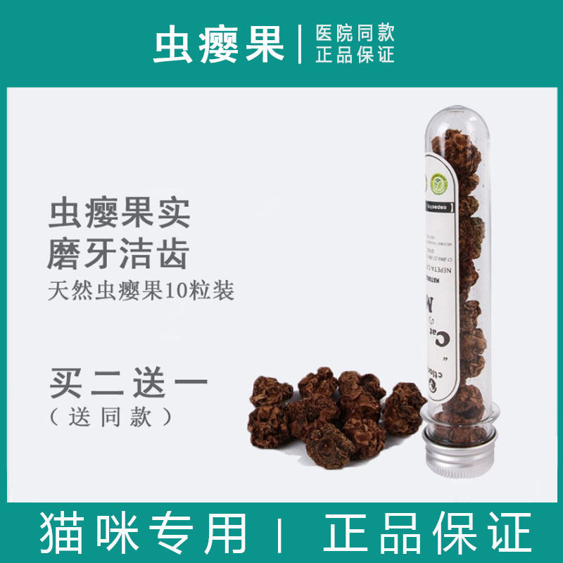 颗粒变异新鲜玩具木天果实猫零食