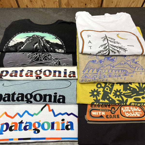 【现货】日版 PATAGONIA 印花T恤 男女款 37811