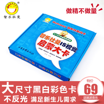 智乐杜曼闪卡右脑新生儿黑白卡片婴儿早教卡0-12月视觉激发彩色卡