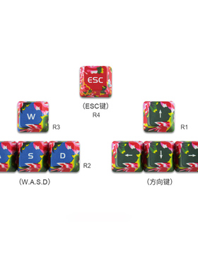 PBT热升华个性键帽WASD机械键盘上下左右方向键ikbc雷柏OEM高度