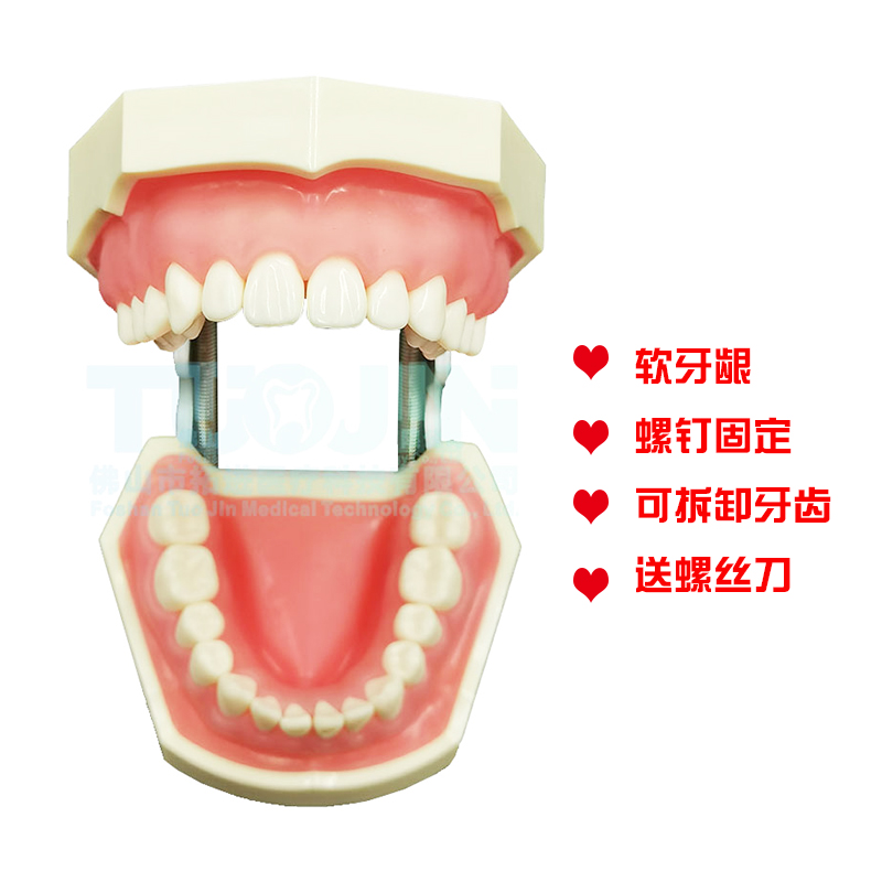 口腔技能提升备牙练习树脂牙齿