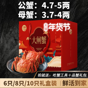 年货活蟹特大现货大闸蟹鲜活螃蟹礼盒团购公蟹4.7-5两母蟹3.7-4两