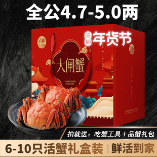 年货活蟹现货苏州精品大闸蟹礼盒团购特大全公螃蟹4.7-5两鲜活