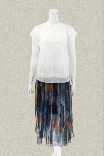 清新两件套女夏半透视上衣 新 贴布绣花连肩袖 正品 752036A 裘TN